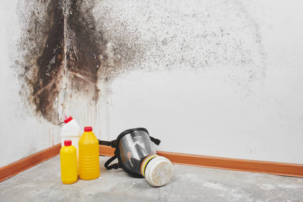 Best Crawl Space Mold Removal  in Thermal, CA