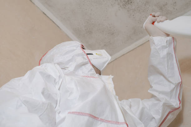 Best Emergency Mold Removal  in Thermal, CA