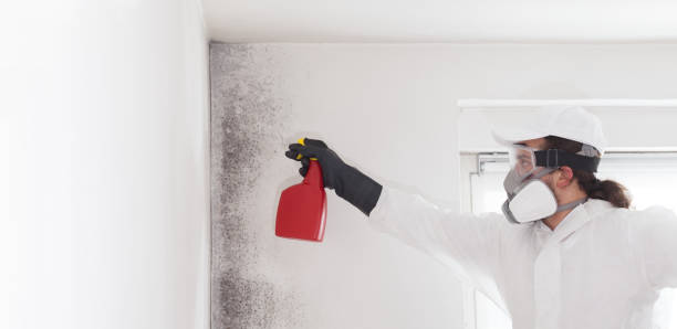 Best Crawl Space Mold Removal  in Thermal, CA